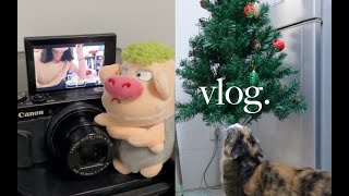 vlog.独居女性流水账日记⧸今年终于买了圣诞树(猫爱啃假树？？？)