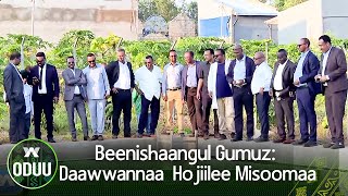 Beenishaangul Gumuz: Daawwannaa  Hojiilee Misoomaa |ODUU