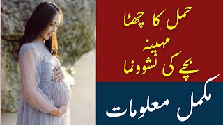 6th Month of Pregnancy|Sixth Month Of Pregnancy Tips|حمل کا چھٹا مہینہ