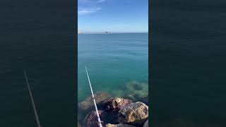 Pesca en Castellón