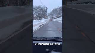 新潟県⇆福島県 県境49号線☃️ #shorts