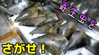 エビ型の寄生虫に完全にやられてしまった巨大な貝。寄生虫の姿が衝撃だった。