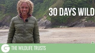 30 Days Wild | The Wildlife Trusts