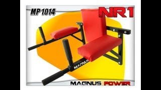 Posilovací bradla nástěnná MAGNUS POWER MP1014