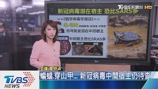 【十點不一樣】新冠病毒追追追　潛在中間宿主多了「牠」