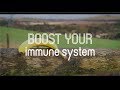Boost Your Immune System Naturally. ( 7 Easy Tips) Boost Your Immune System Naturally. ( 7 Easy Tips)