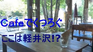 居心地のいいカフェ | Cozy cafe | Day in the life | protected cat | vlog#22