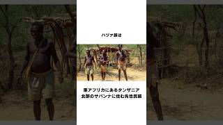 【先住民族】ハヅァ族に関する雑学