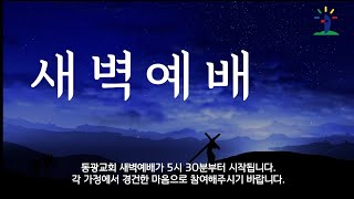 [동광교회] 2025년 2월 4일 실시간 온라인 새벽 예배