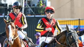 【注目馬動向】シャフリヤールが有馬記念に参戦　鞍上はＣデムーロ騎手