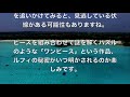 【ワンピースネタバレ】ルフィの母親が頂上戦争編に登場していた…