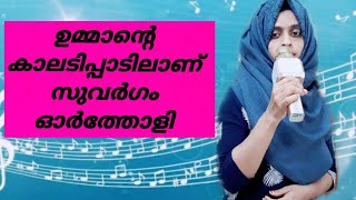 ഉമ്മയെ / അമ്മയെ സ്നേഹിക്കുന്നവർക്ക് സമർപ്പിക്കുന്നു / ummante kaladippadilanu/ song by me