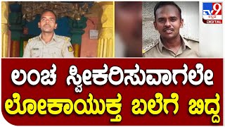 Lokayukta Raid: ಲೋಕಾಯುಕ್ತ ಬಲೆಗೆ ಬಿದ್ದ ಅಧಿಕಾರಿ | #TV9D