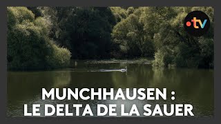 Un lieu, des histoires à Munchhausen : le delta de la Sauer - Episode 1/4