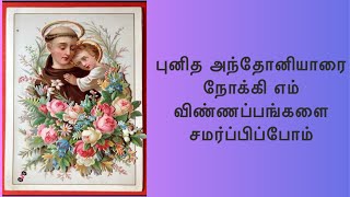 புனித அந்தோனியாரை நோக்கி எம் விண்ணப்பங்களை சமர்ப்பிப்போம்