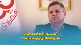 چرایی فشل بودن کمیسیون اقتصادی مجلس و سیاست‌های اقتصادی کشور / محمدرضا یزدی‌زاده