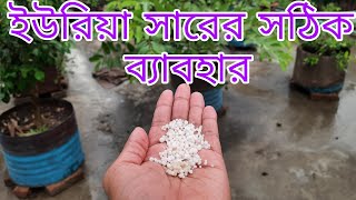 রাসায়নিক সার ব্যবহারের নিয়ম | রাসায়নিক সারের ব্যবহার | মাল্টা/কমলা/পেয়ারা/আম গাছের খাদ্য প্রয়োগ