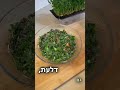 סלט עדשים ירוק שאתם חייבים להכין בעצמכם broccoli benefits healthy אורחחייםבריא