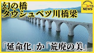 大規模な崩落「このまま黙って朽ち果てるのを…」「朽ちていく姿にこそ魅力」どうなる？タウシュベツ川橋梁