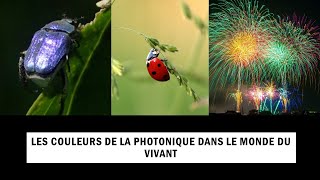 Les couleurs de la photonique dans le monde du vivant (par Sébastien Mouchet)