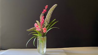 Cherry Blossom Floral Arrangement 插花藝術-創意-簡單-優雅-易學