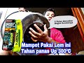 LEM TAMBAL PANCI SETELAH 5 BULAN