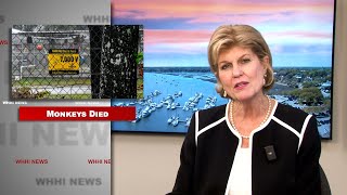 WHHI NEWS | Robyn Zimmerman, Local Headlines | February 4, 2025 | WHHITV