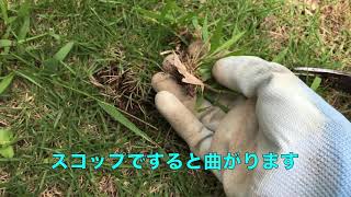 除草道具（１００均）#雑草#草取り