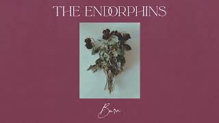 The Endorphins - Burn (Slowed & Reverb)