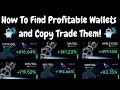 How To Find and Copy Trade Profitable Wallets