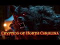 Top 5 Cryptids of North Carolina