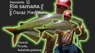 PESCADO EL SAMANA SUR CON OSCAR MEDINA.