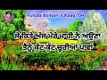 ਟਾਹਲੀ ਉੱਤੇ ਬਹਿਜਾ ਤੋਤਿਆ punjabi folk song lokgeet @punjabi boliyan suhaag folk