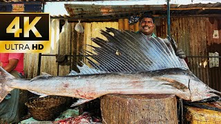 100KG😱😱FLYING FISH CUTTING VIDEO MINNAL RAJA / IN 4K ULTRA HD / RR PARTY KASIMEDU FISHERMAN⚓️