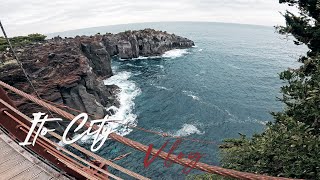 静岡県伊東旅行に行ってきたよー愛犬と行く旅Vlog