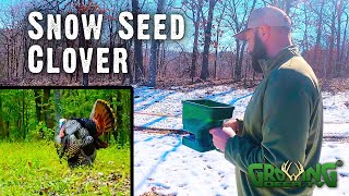 Snow Seed Clover: How to Jump Start Spring Food Plots for Turkey Hunting