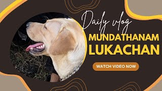 #രാവിലെ നടന്ന സംഭവം #labrador #doglover #pets