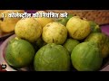 कच्चे अमरूद खाने के फायदे kachche amrud khane ke fayde amrud khane ke fayde goyava benefits