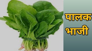 इतकी सोपी पालकची भाजी कि बघताच 😊🧑‍🍳.palak recipe in marathi