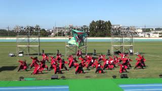 2014ござれgo shu　水口スポーツの森会場　水口今村組　甲武会