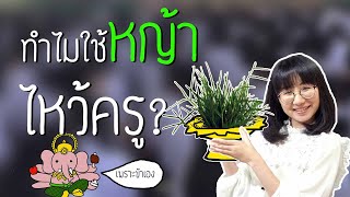 ดราม่าระดับเทพ: ทำไมเราใช้หญ้าแพรกไหว้ครู? | Point of View x Nestle School Channel