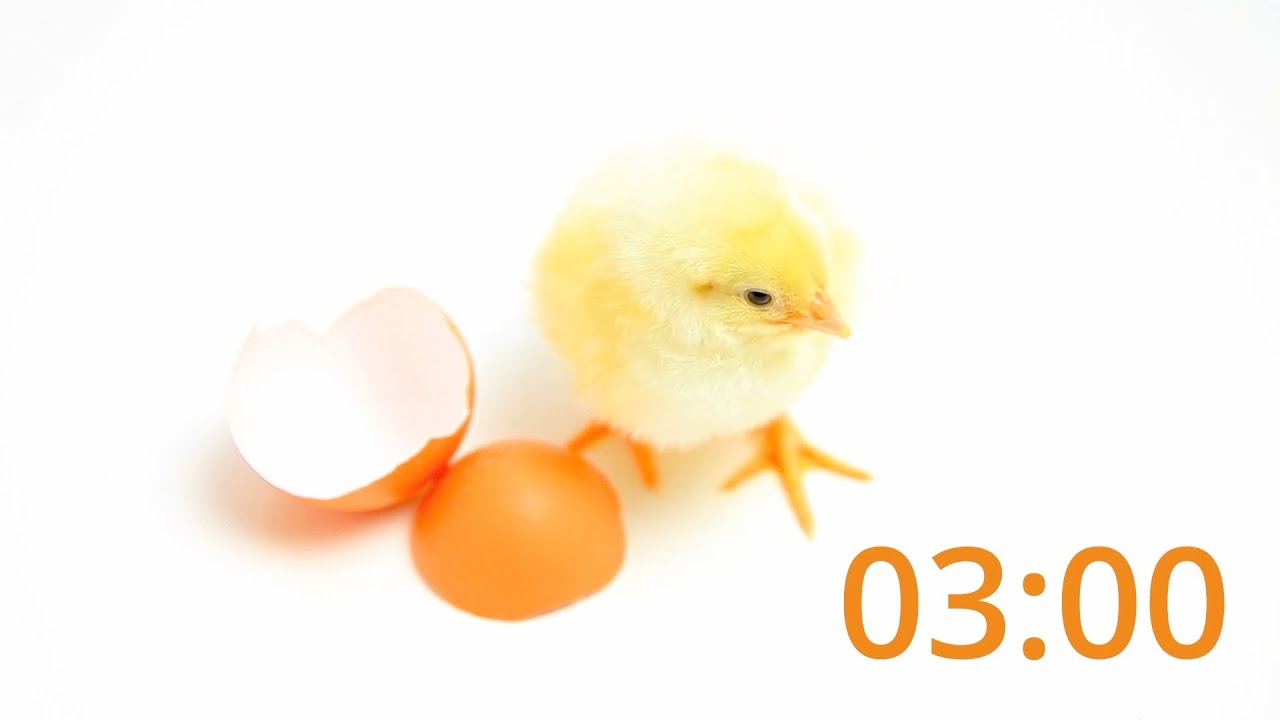 1 Minute Easter Timer Youtube