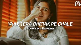 Yaar tera chetak pe chale [Slowed +Reverb] song #newharyanvisong #viralsong #jaatsong