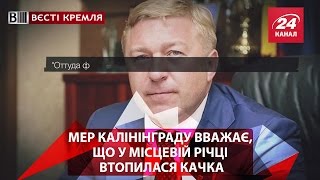 Мер Калінінграду вважає, що у місцевій річці втопилася качка