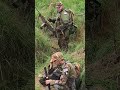 Predators a Seals🙈 #predator #shortvideo #airsoft #usarmy #m249 #m4 #m14 #multicam #woodland