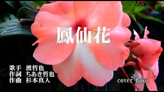 鳳仙花　渡哲也　歌唱　haku