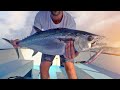 Is fishing in Bali good? (Indonesia fishing spots revealed) - Tascast Fishing