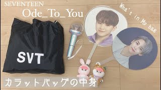 [SEVENTEEN] Ode To You イルコン/ライブビューイングの持ち物紹介