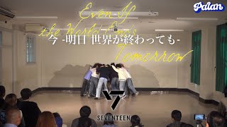 SEVENTEEN - 今 -明日 世界が終わっても-【青山祭 2024】|  Dance Cover by PALAN