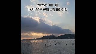 2025년 1월 8일 16시 30분 현재 송정 바다상황